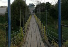 Nuevo puente tendrá Osorno: MOP confirma futura construcción de viaducto desde calle Freire sobre el río Damas