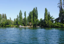 Sector Trumao: Deudas pendientes en materia de vialidad