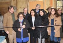 Cooperativa Piuke Kimun recibió importantes máquinas para lavar y cardar lana