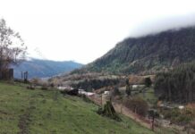 Remoción en masa mantuvo aislado a sector cordillerano de Futrono