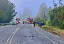 Alcalde de Paillaco se refirió al abandono de parte del estado que sufre la ruta T206