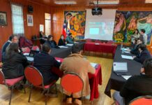 Aprueban el plan de acción para la Zona de Interés Turístico de Puerto Montt