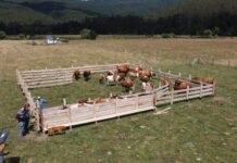 ULA: Sociología de la agricultura familiar en Chile (Socioagro), Diversidad, agencia y estilos agrarios