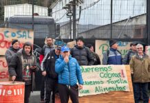Trabajadores de la empresa Cosal realizan manifestación en Puerto Montt por no pago de sueldos
