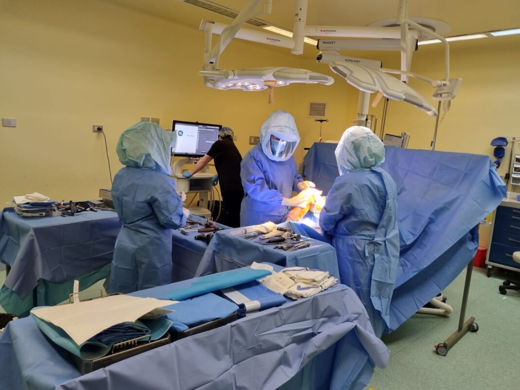 WhatsApp Image 2023-07-04 at 12.04.34