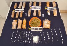 Balance PDI: incautaciones de droga en Los Lagos aumentaron a más del doble en año 2022