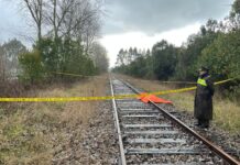 Con lesiones en su rostro encuentran cuerpo sin vida de trabajador agrícola extraviado en Frutillar