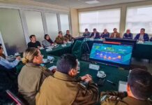 Osorno: Robo en lugar habitado e infracciones a la ley de drogas aumentaron en el primer semestre del 2023