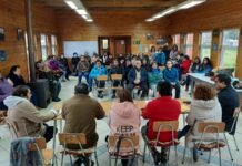 En Puyehue exigen mayor seguridad ante ola de robos