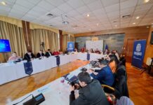 Cores solicitan informe de inmuebles fiscales utilizados por funcionarios públicos en la región de Los Lagos