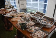 Programas de recuperación económica dirigidos a pescadoras registran positivos avances