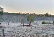 El día mas frío del año vive el sur de Chile