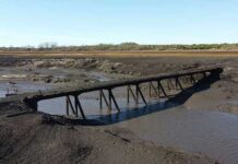 Emergencia hídrica en Uruguay: Se acaban las reservas y estiman de siete a diez días más de agua potable