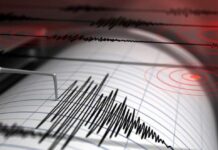 Temblor de 4.1 se registró a 29 km de Río Puelo durante este viernes