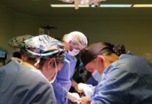 Hospital Puerto Montt realiza exitoso noveno procuramiento de órganos este año 2023