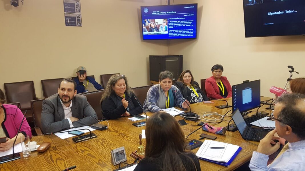 WhatsApp Image 2023-08-04 at 17.02.18