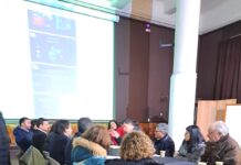 Tercera reunión del comité de seguridad abordó temas como el comercio ilegal y la seguridad pública en Osorno