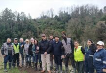Osorno: Se llevó a cabo la plantación de 70 árboles a orillas del río Damas