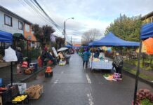 Proponen histórico mejoramiento de la feria Pedro Aguirre Cerda en Osorno por casi 400 millones de pesos