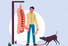 Desde el Servicio de Salud Osorno explican los alcances de patologías zoonóticas que pueden contraerse durante Fiestas Patrias, ante el aumento el consumo de carne