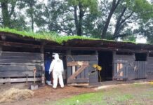 Falleció hombre que asesinó a su esposa y ocultó su cuerpo por 24 años