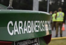 Un ecuatoriano fue detenido en Osorno tras golpear y amenazar a su ex pareja