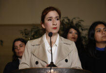 Democracia Viva: Fiscalía pide prisión preventiva para la desaforada diputada Catalina Pérez