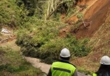 Un nuevo deslizamiento de tierra afecta a los habitantes de Futrono, esto a cinco días del aluvión que cortó el tránsito de la ruta Futrono-Llifén