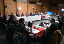 Aprueban más de mil millones de pesos para programas de salud enfocados en tratar el cáncer, esterilización y ortodoncia en la provincia de Osorno