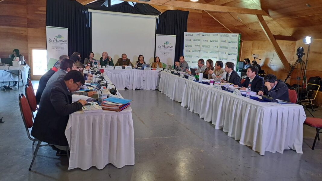 WhatsApp Image 2023-10-04 at 13.37.31