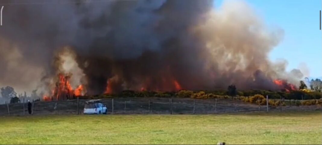 WhatsApp Image 2023-10-17 at 14.14.29