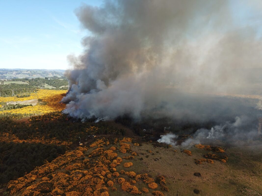 WhatsApp Image 2023-10-18 at 12.05.19