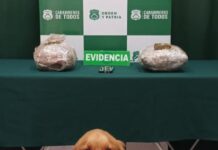Carabineros realiza tercer decomiso de drogas en Ruta 5 Sur en menos de una semana