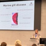 Ciba en Oslo: Las enfermedades branquiales en salmones no dependen sólo de un patógeno