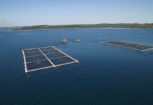 Conflicto por concesiones a salmoneras: «Que el Gobierno no espere que esto reviente»