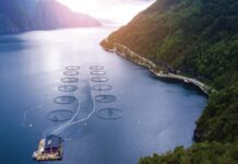 Crítica a ministra Rojas desde Aysén: «Está haciendo todo lo posible por dejar a la gente sin trabajo»