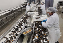 Amichile destaca avance en el consumo del chorito en Chile, pero indicó que aún falta masividad