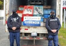 Incautan más de 5 toneladas de salmones en rampa de Chacao en Ancud