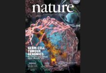 Scientific Reports publica investigación chilena sobre principal enfermedad en salmones