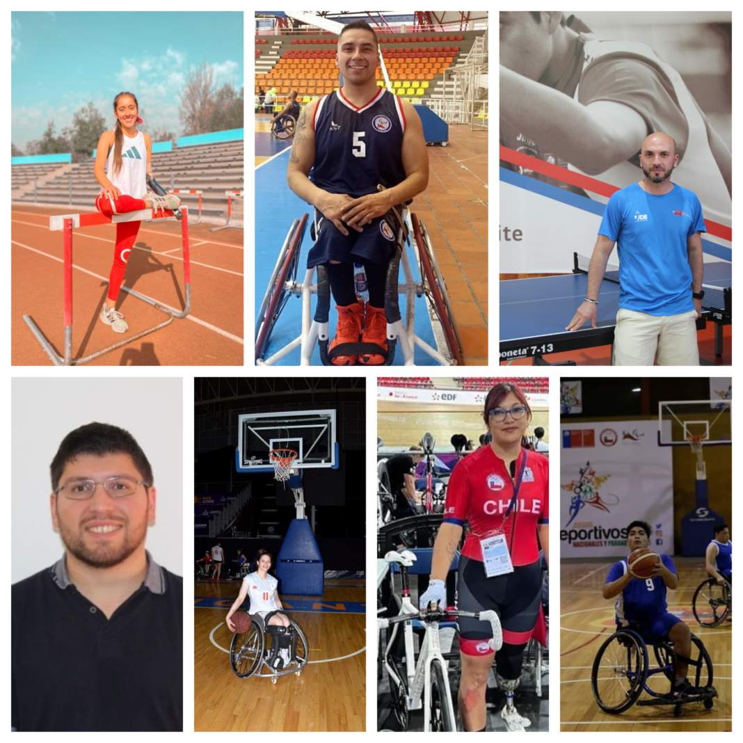 Blank 7 Grids Collage