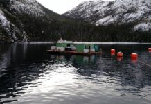 Alcalde de Porvenir adelanta profunda crisis social por posible cierre de salmonera