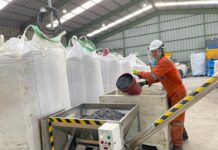 La Región de Los Lagos registra una de las tasas de desocupación más baja del país según Encuesta Nacional del Empleo