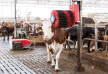 LELY CENTER CERES, aliados en el bienestar, en SAGOFISUR 2023