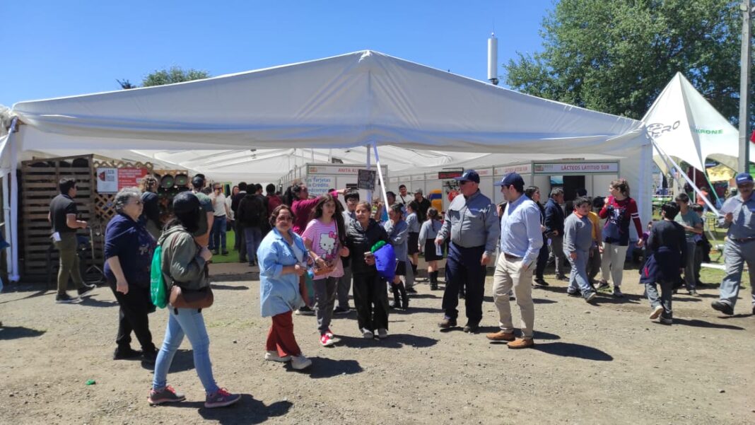 WhatsApp Image 2023-11-24 at 09.22.47