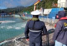 Descartan marea roja tras masiva muerte de salmones en el Estuario de Reloncaví