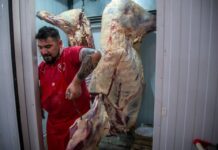 Sin el modelo de Milei, la carne fue récord en Argentina