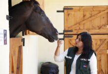 SAG llama a no adquirir de manera informal vacunas contra la Encefalomielitis Equina del Oeste