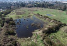 Osorno cuenta con nueva Ordenanza de protección de humedales urbanos