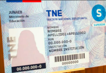 TNE 2024 iniciará prontamente su proceso de revalidación en la región de Los Lagos
