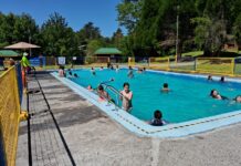 Inauguran temporada de piscina y camping en el parque Olegario Mohr de Osorno